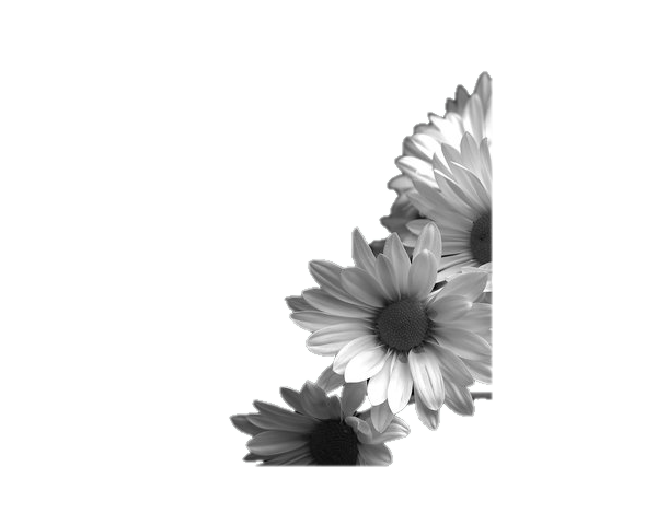 tube fleur